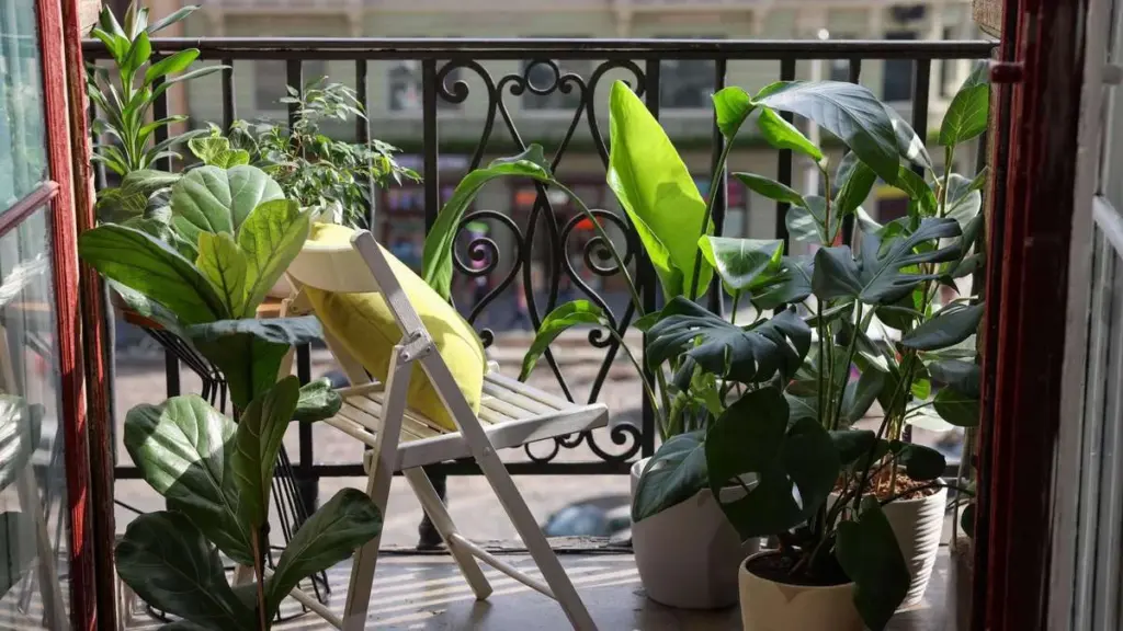 Látványos cserepes növények: 5,99 €-tól akciósan a BALDUR Gartennél